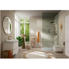 Hansgrohe AddStoris Papierrollenhalter mit Ablage, brushed bronze