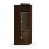 Eckvitrine Schrankvitrine Sammlerschrank Vitrinenschrank Regalvitrine