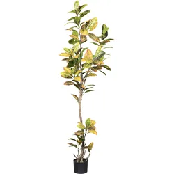 Künstliche Zimmerpflanze CREATIV GREEN "Croton", grün, H:200cm, Kunstpflanzen, mit außergewöhnlichem Blattwerk