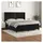 vidaXL Boxspringbett mit Matratze Schwarz 180x200 cm Samt