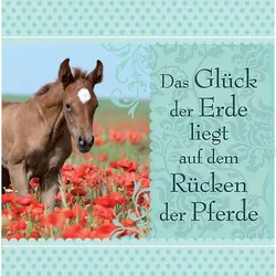 H&H Romantisches Geschirrtuch "Das Glück der Erde liegt auf dem Rücken der Pferd...