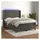 vidaXL Boxspringbett mit Matratze & LED Dunkelgrau 140x200 cm Samt