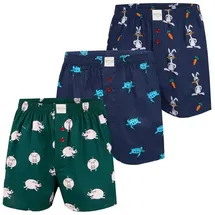 Phil & Co. Berlin Boxershorts FUN Motives 3 Einheiten mischfarben L