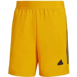 ADIDAS Herren Shorts House of Tiro Nations Pack, CREORA/BLACK, S