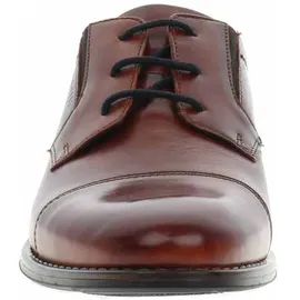 Bugatti Business Schnürschuhe in Braun 44 EU | Gr.: