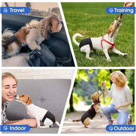 luxuskollektion 2er Pack Wiederverwendbare Läufigkeitshose Verstellbar