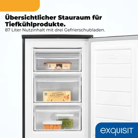 Exquisit GS81-040B Grau