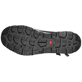 Salomon Techamphibian 5 Wanderschuhe - Castlerock / Willow / Black - EU 42 2/3