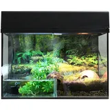 Lucky Reptile Starter Kit Bombina/Pacman, ca. B80/H52/T40 cm,