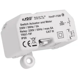 eQ-3 Homematic IP Schalt-Mess-Aktor Unterputz HmIP-FSM