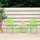Homestyle4u Gartenstuhl Kunststoff grün 4er Set