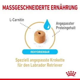 Royal Canin Adult 5+ Labrador Retriever 2 x 12 kg