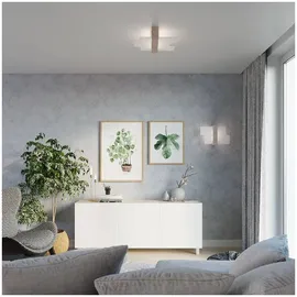 Sollux Feniks (SL.0077) Naturholz