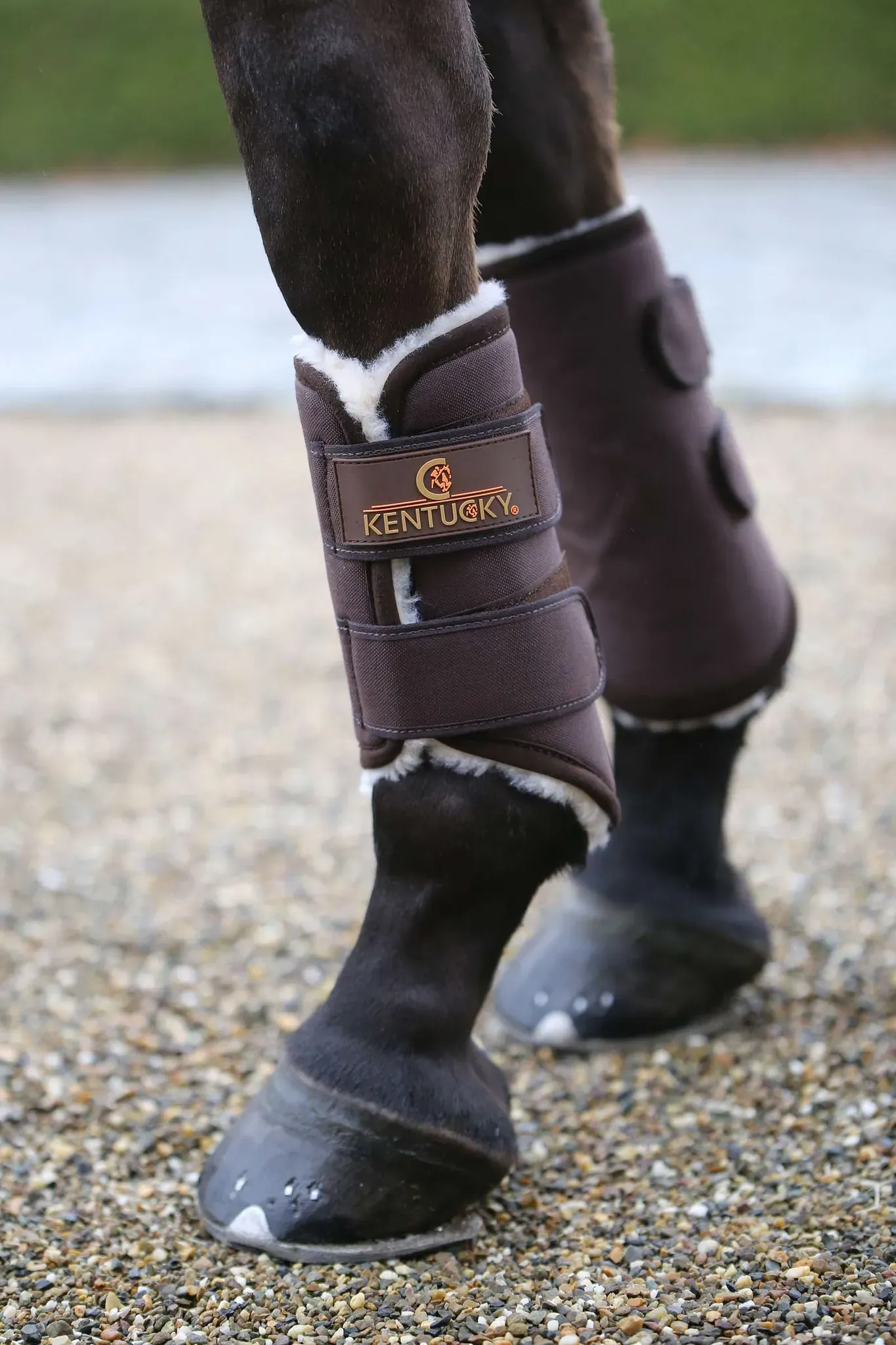 Kentucky Horsewear Solimbra Arbeitsgamaschen Vorne