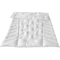Traumina Exclusive Body Daune Einziehdecke WK2