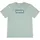 Levi's Jungen, grün, BATWING T-Shirt - 16 Jahre