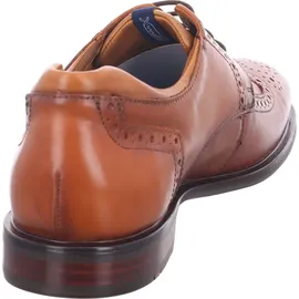 LLOYD Marian, Männer Businessschuhe,Derby,lose Einlage,Normalweit,straßenschuhe,Strassenschuhe,Cognac,44 EU / 44