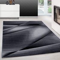 Teppium Moderner Kurzflor Teppich Wohnzimmer 250x350 (240 x 340 cm) Schwarz - Waschbarer Teppich, Abstrakt Design, Pflegeleicht, Weich - Ideal für Schlafzimmer, Esszimer und als Küchenteppich