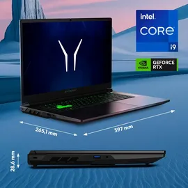 Medion Defender 17 P10 17,3" Intel Core i9-14900HX 16 GB RAM 1 TB SSD RTX 5070 Windows 11 schwarz