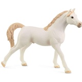 Schleich HORSE CLUB Araber Hengst weiß 72153