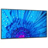 NEC MultiSync M491 49"