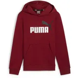 Puma ESS+ 2 Col Big Logo Hoodie FL B, Jungen Schweiß, Intense Red,