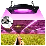 Jibenhome Pflanzenlampe LED Grow Lampe, 50W SMD2835 Vollspektrum Pflanzenlicht, Gemüse Blume, Pflanzenleuchte IP66 Wachstumslampe, mit Daisy Chain Euro Stecker schwarz