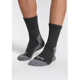 xtreme sockswear Wandersocken 2er Pack, 2 Stk. tlg. Gepolsterte Unisex Wander-/ Sport- und Funktionssocken