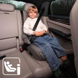 Lorelli Pyxis Isofix Rosa