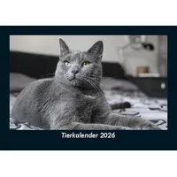 Vero Kalender Tierkalender 2026 Fotokalender DIN A5