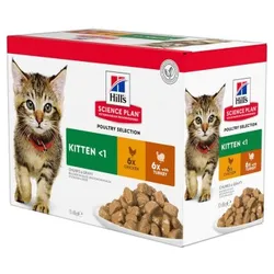 Hill's Science Plan Kitten Multipack Truthahn & Huhn 12x85 g