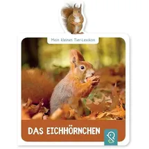 klein & gro� Verlag Das Eichhörnchen: Mein kleines Tier-Lexikon