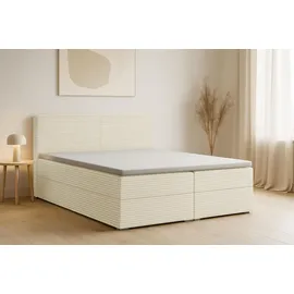 dein schlaf 24 BOXBETT LON III 160/200 in Cord Creme H3 - Creme