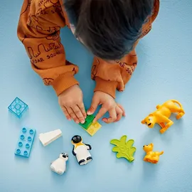 LEGO DUPLO - Wildtier-Familien: Pinguine und Löwen (10442)