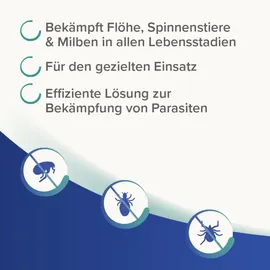 beaphar Dimethicare Anti-Floh Fogger 200 ml