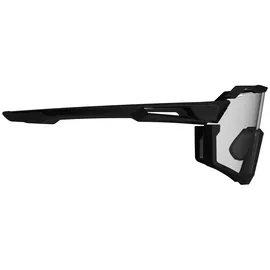 Leatt RideViz Pro Unisex Schwarz/Iriz Silver 17%