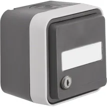 Berker Steckdose SCHUKO 47893505 Grau