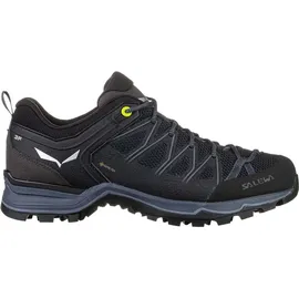 Salewa Mountain Trainer Lite GTX black 44