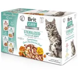 Brit Katze MultiPack 12 x 85g Fillets in Gravy
