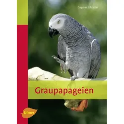 Graupapageien