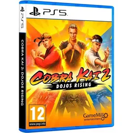 Cobra Kai 2: Dojos Rising