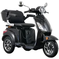 aktiv mobil E-Trike Pro Elektromobil 25 km/h schwarz