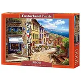 Castorland Afternoon in Nice,
