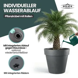 Kreher LIKE Ø 79 x 58 cm Grau