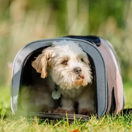 Nobby Tragerucksack Plata altrosa-grau