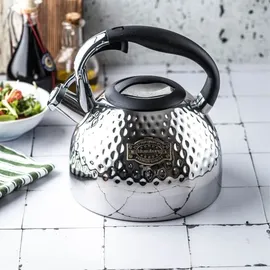 Klausberg 3,0l Stahlkessel mit dickem Boden KB7644 - Silber