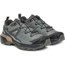 Salomon X Ultra 360 GTX Damen Sedona Sage/Urban Chic/Etherea 40