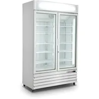 Saro Modell D 800