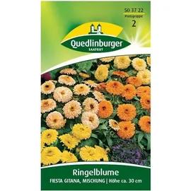 Quedlinburger Ringelblume, Fiesta Gitana Mischung