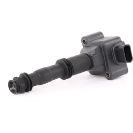 BorgWarner (Beru) Zündspule